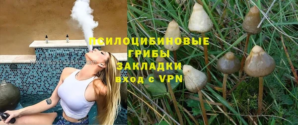 СК Абаза