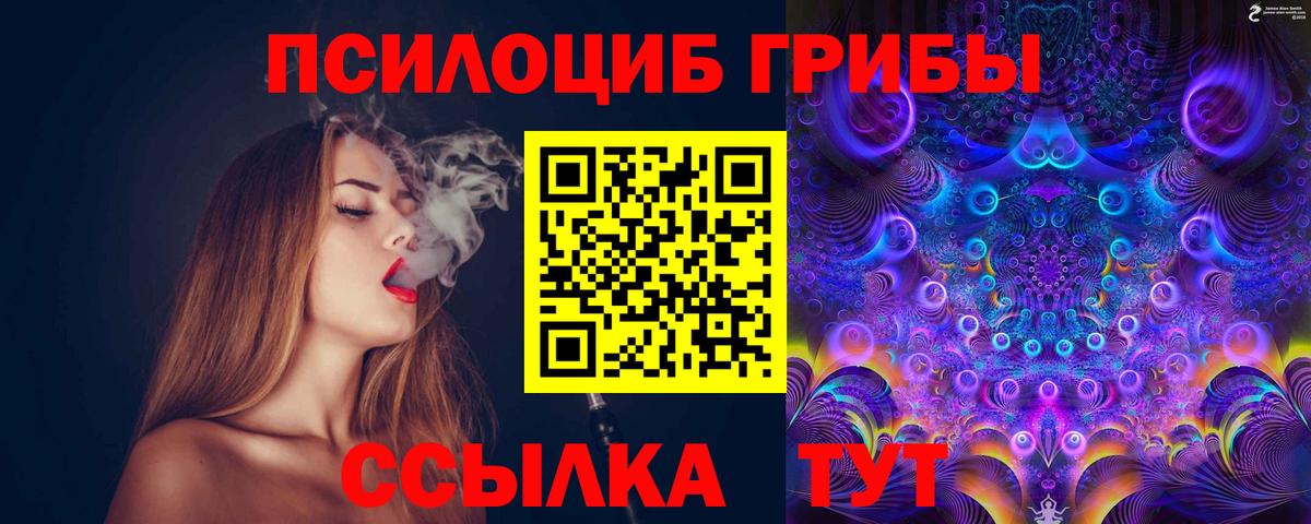 Галлюциногенные грибы Cubensis  купить наркоту  Вход с VPN  Назрань  Галлюциногенные грибы Psilocybine cubensis 
