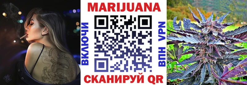 купить   Назрань  Конопля SATIVA & INDICA 